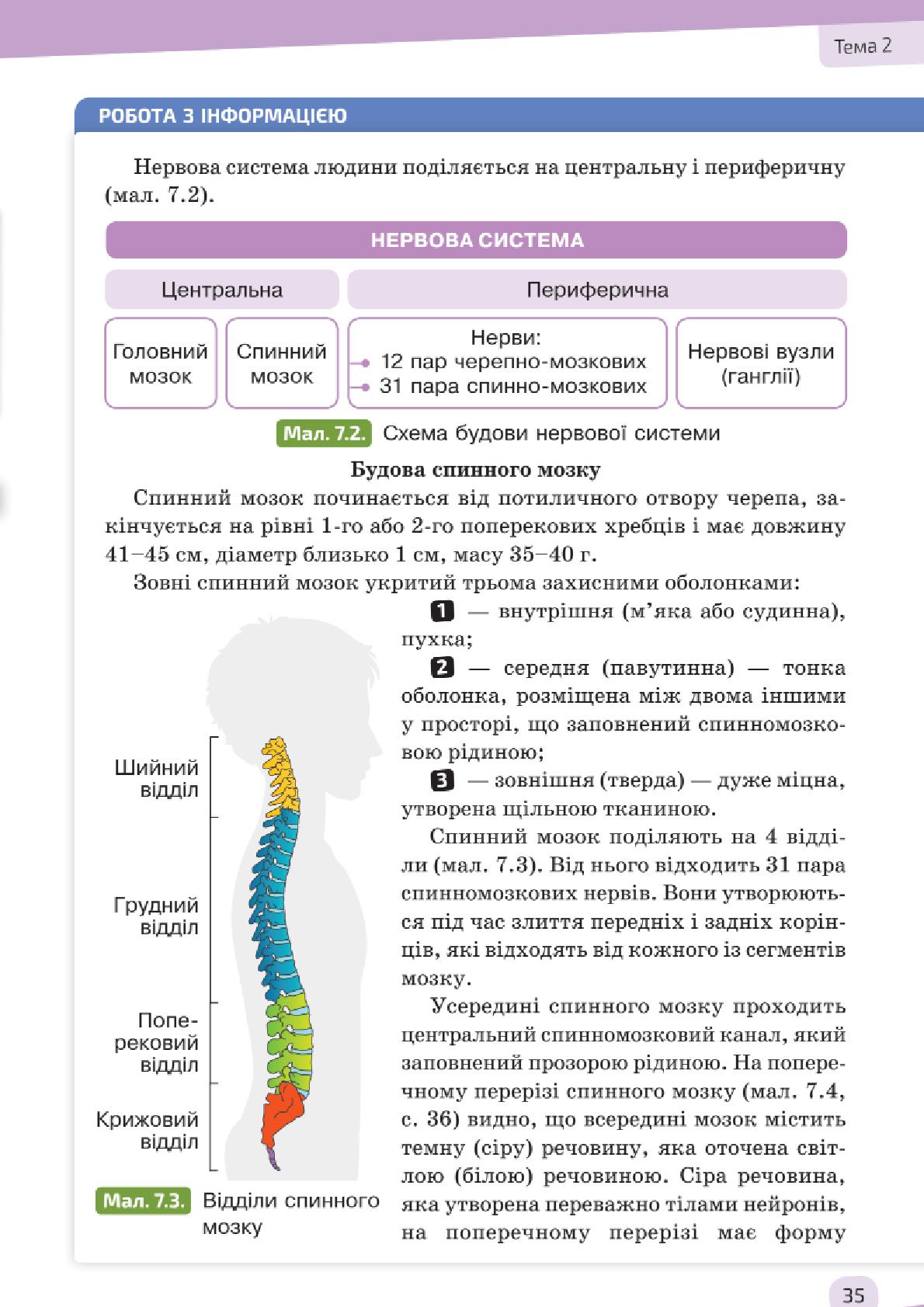Мініатюра 35