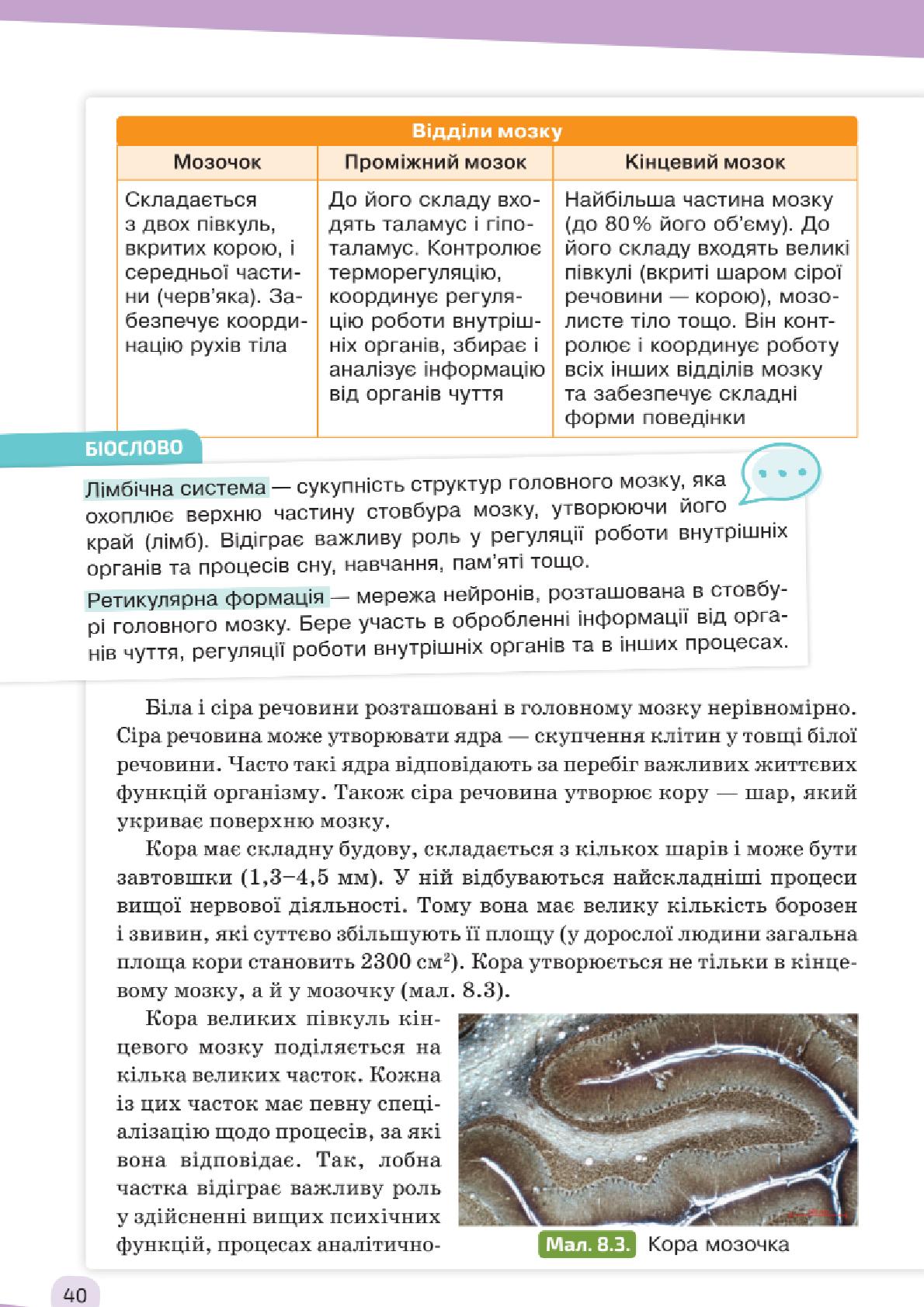Мініатюра 40