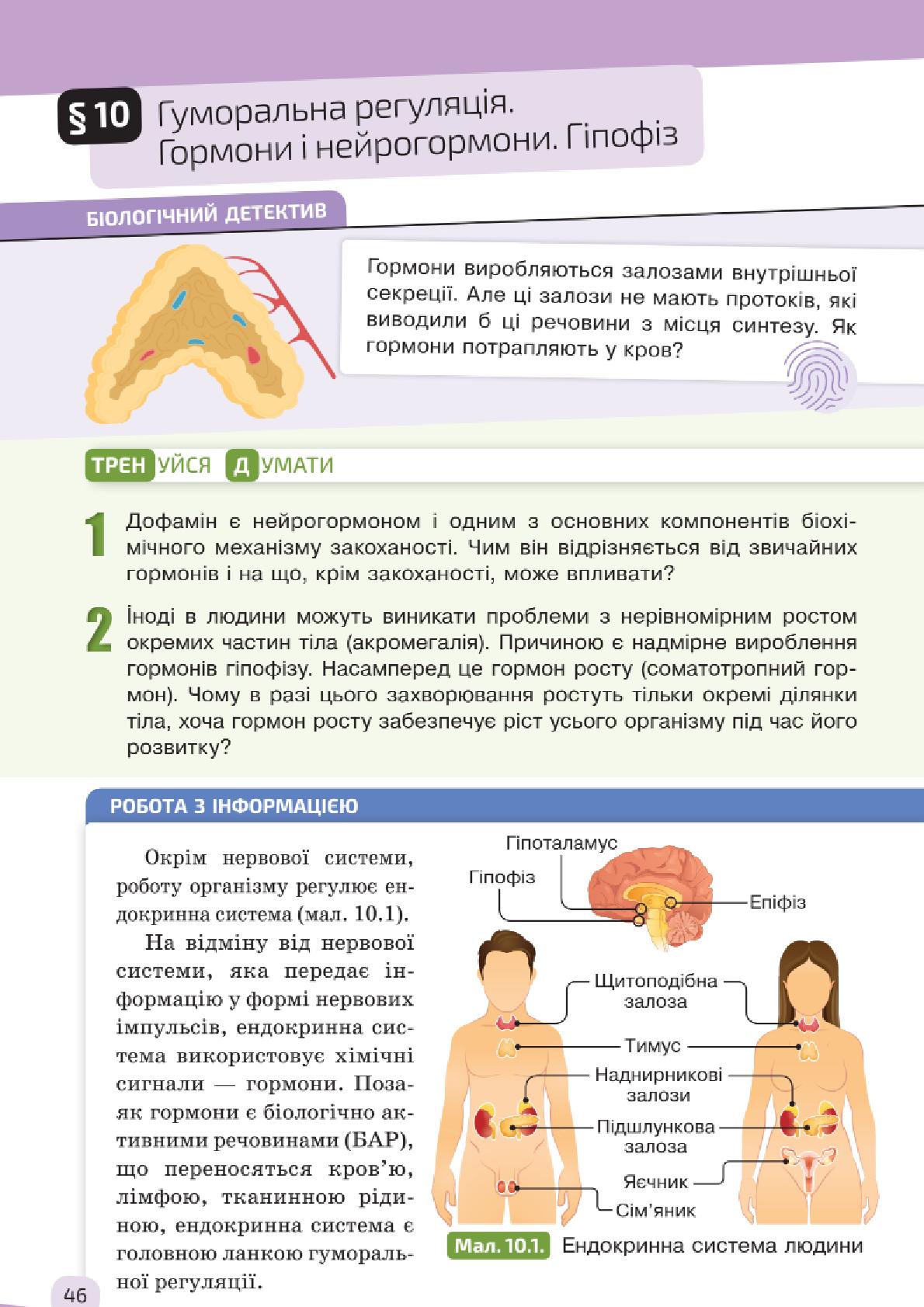 Мініатюра 46