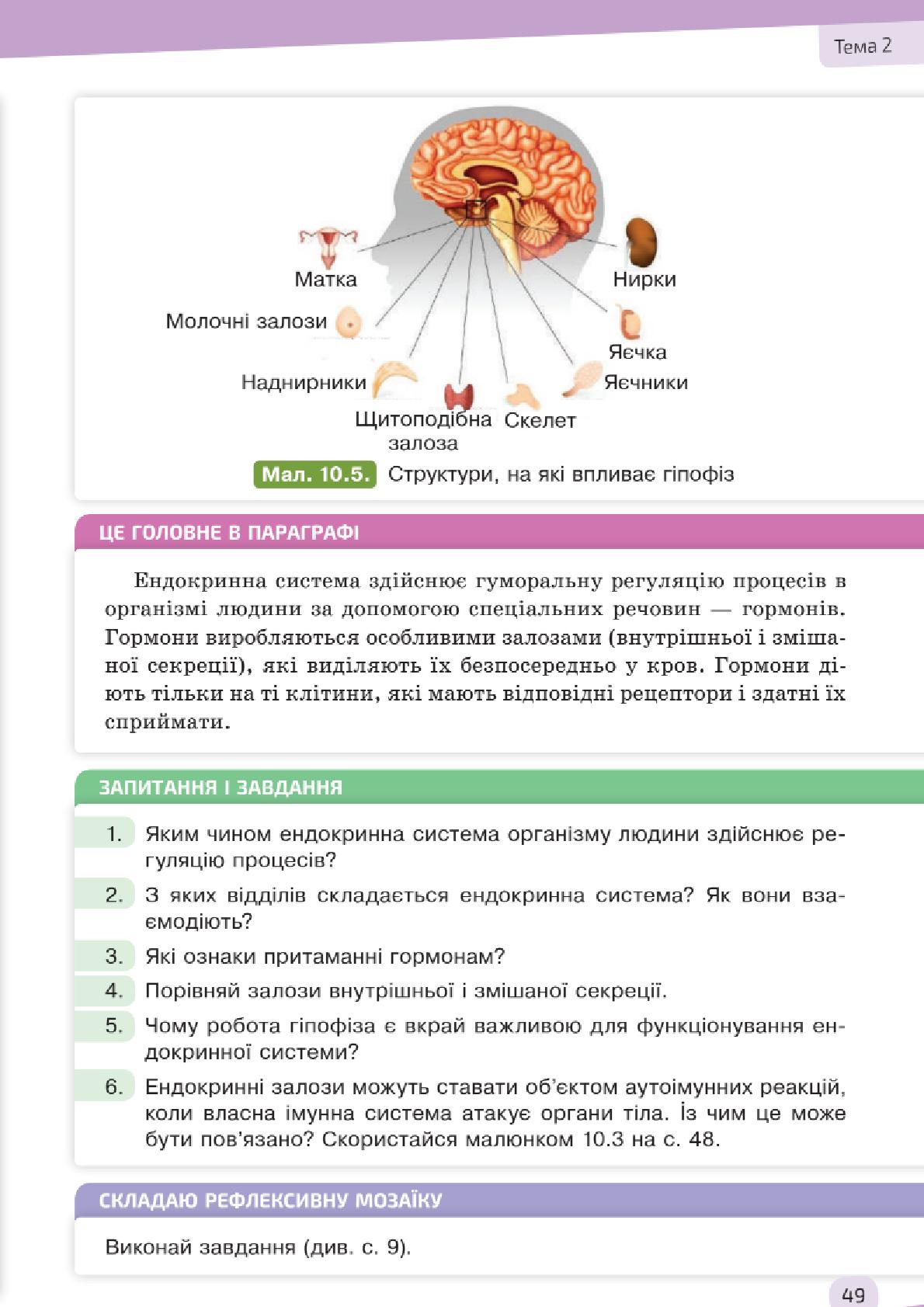 Мініатюра 49