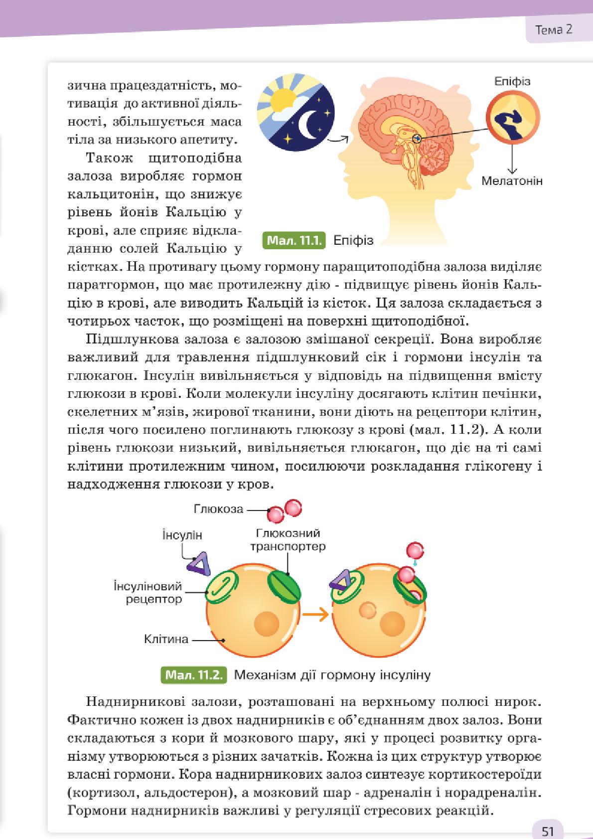 Мініатюра 51