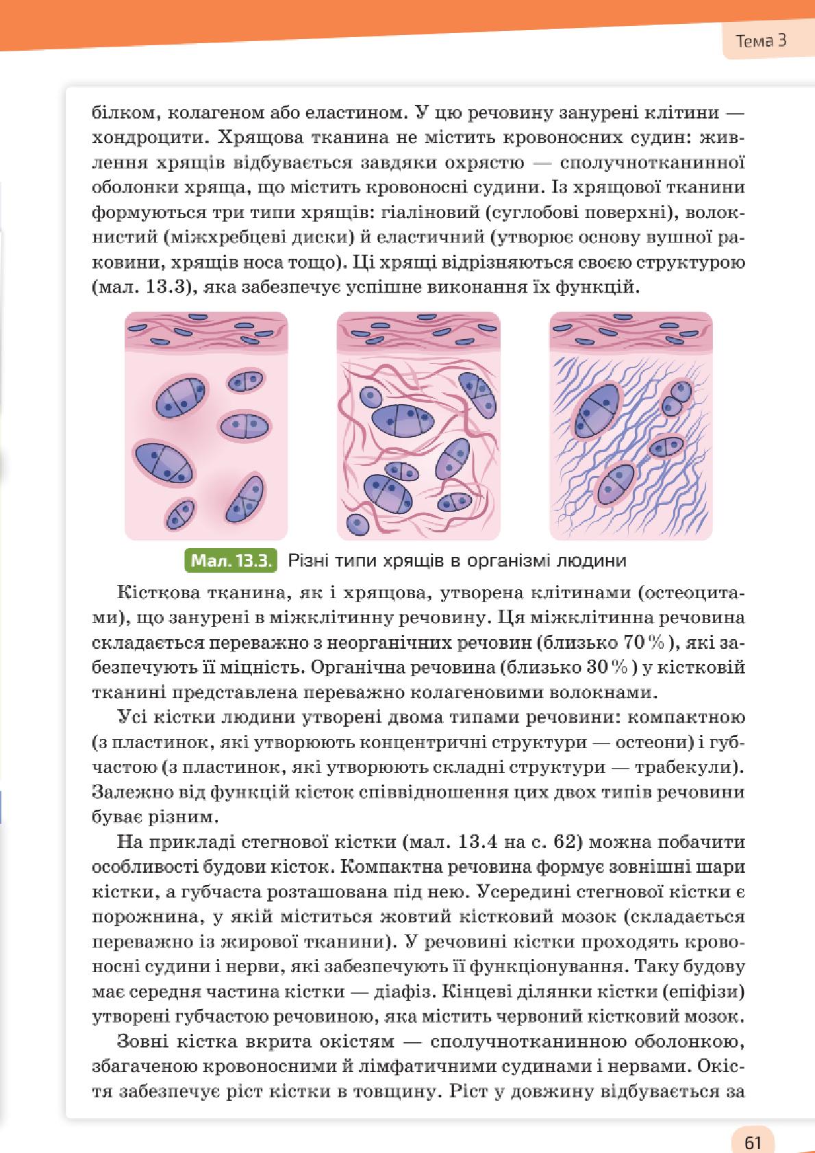 Мініатюра 61