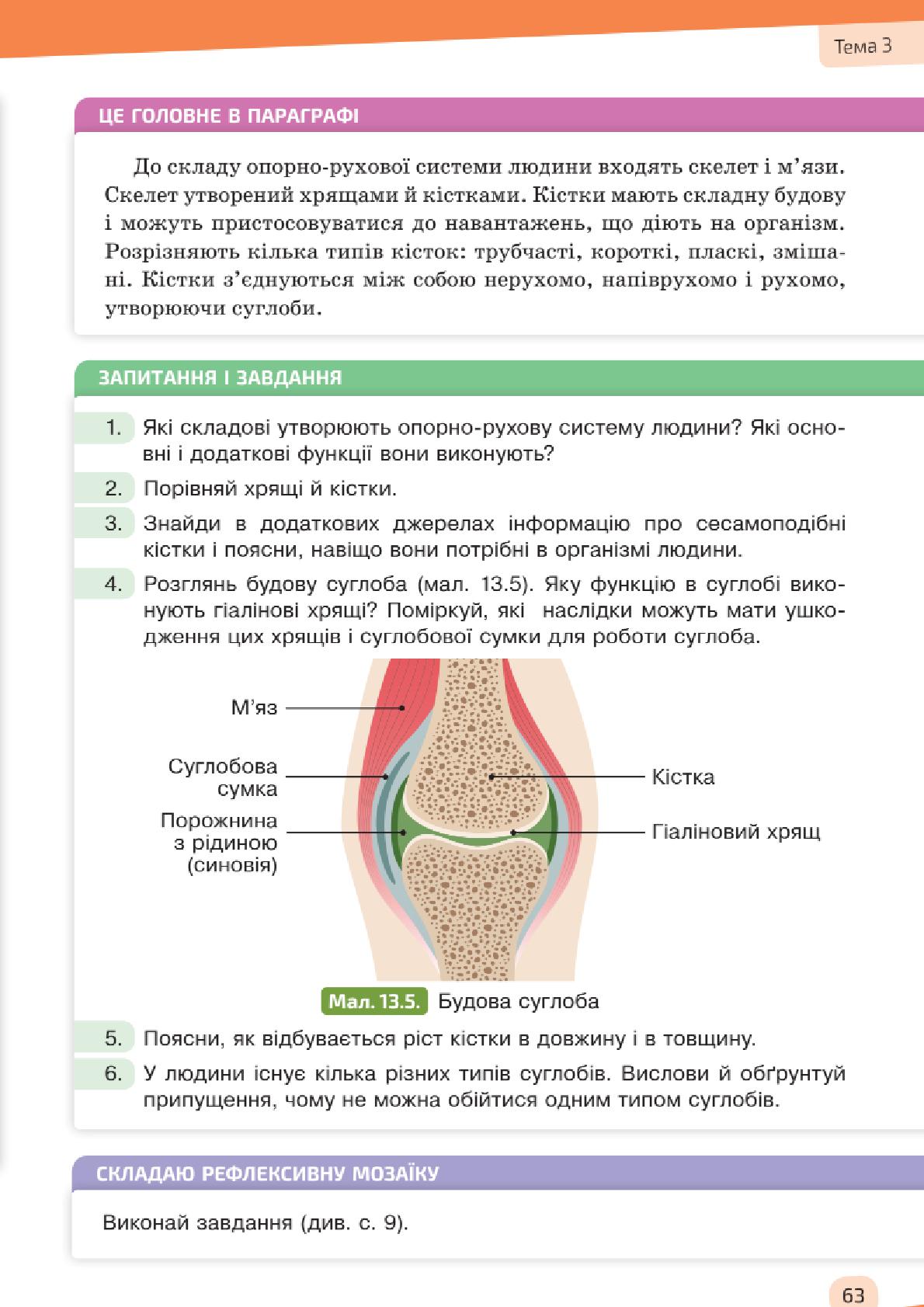 Мініатюра 63
