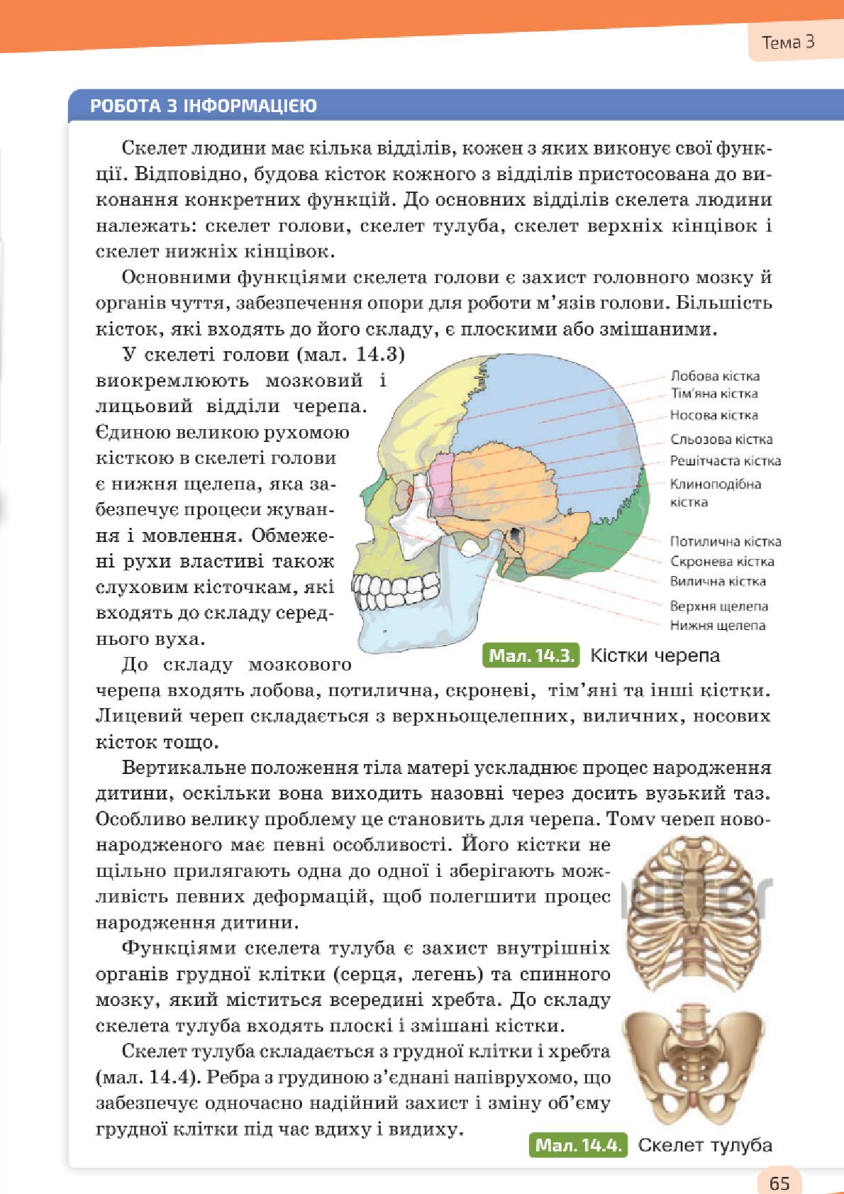 Мініатюра 65