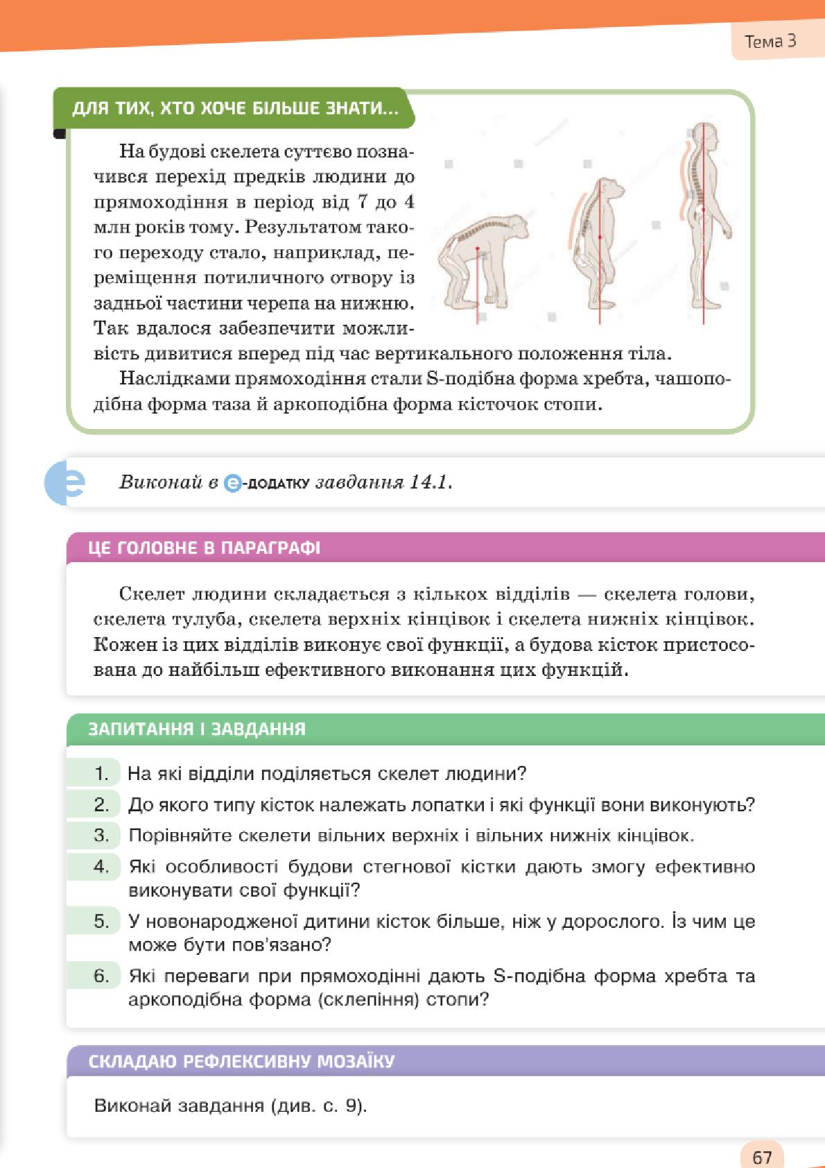 Мініатюра 67