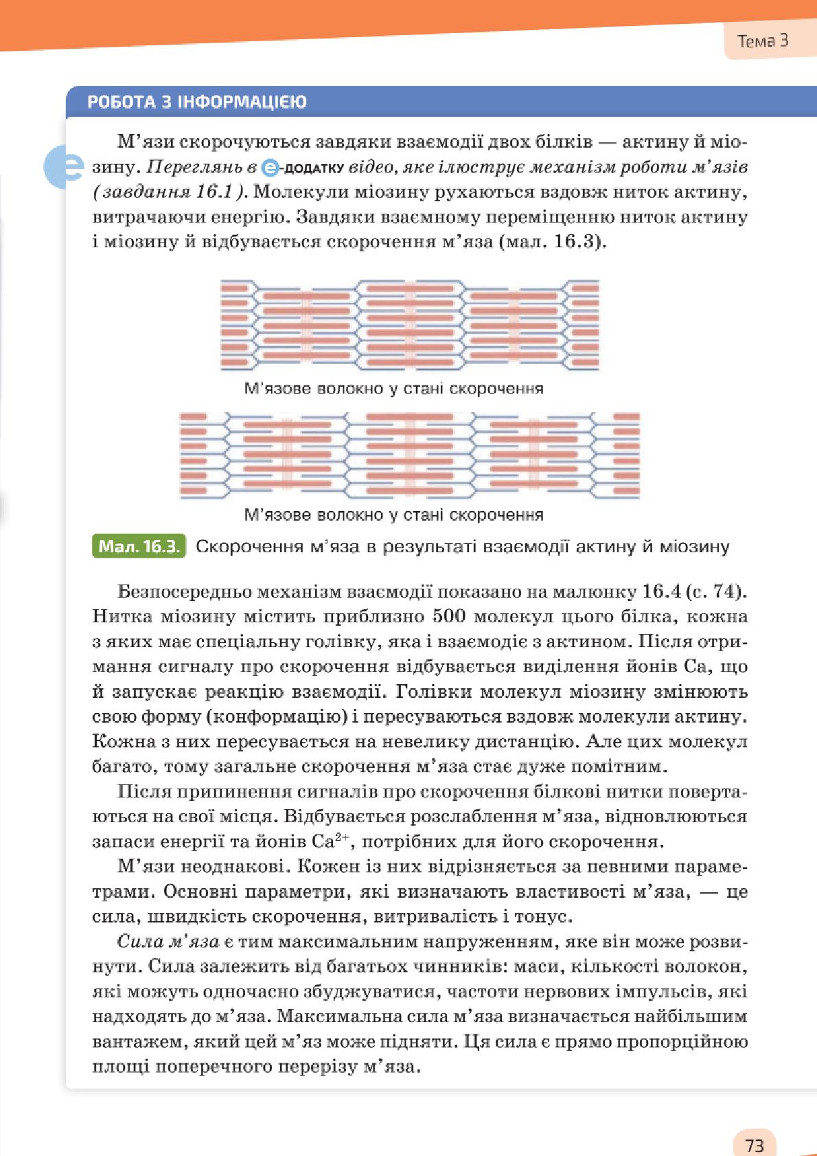Мініатюра 73