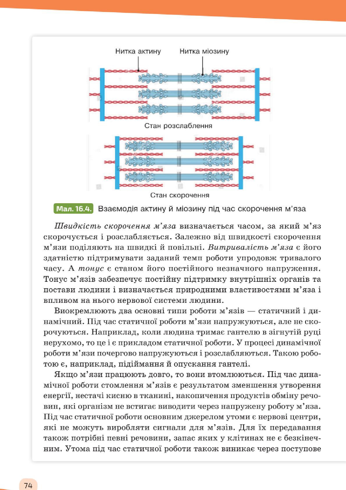 Мініатюра 74