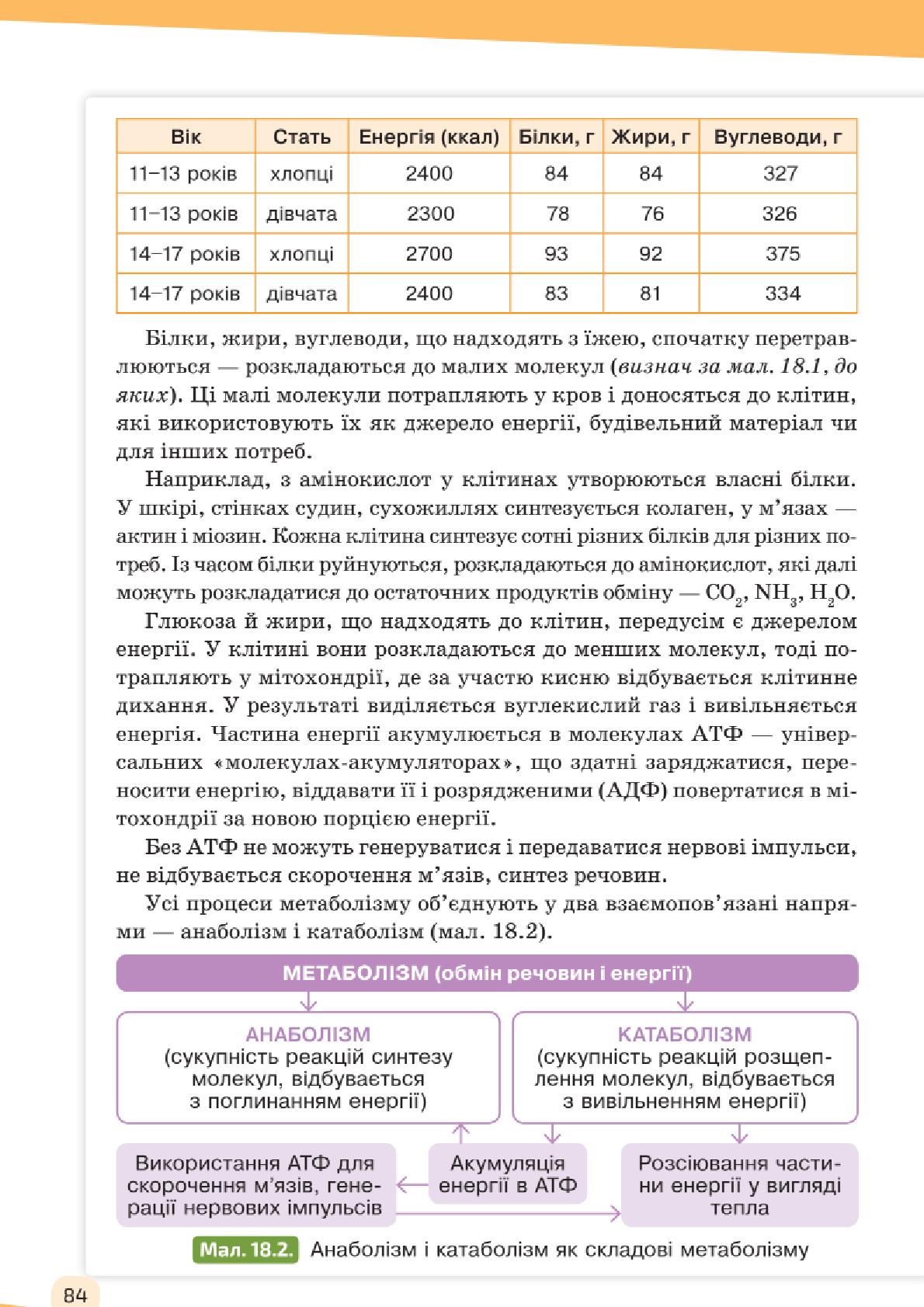 Мініатюра 84