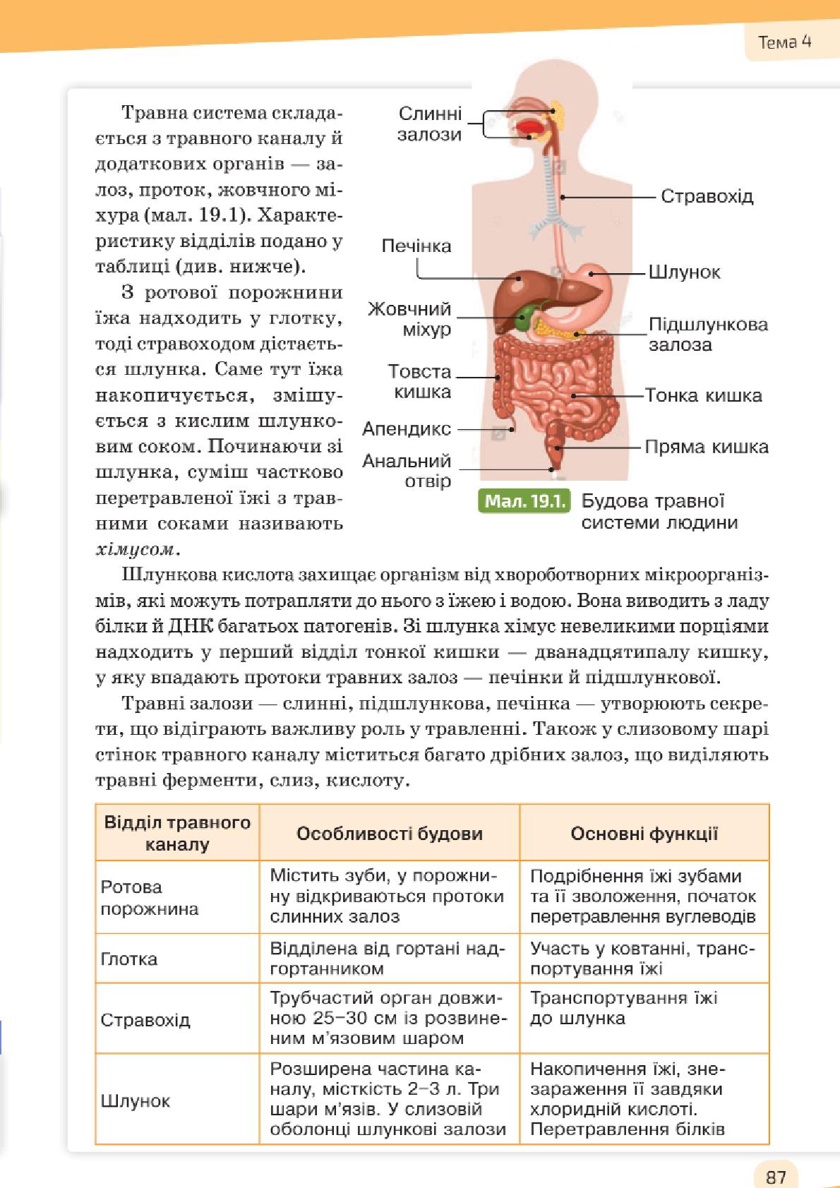 Мініатюра 87