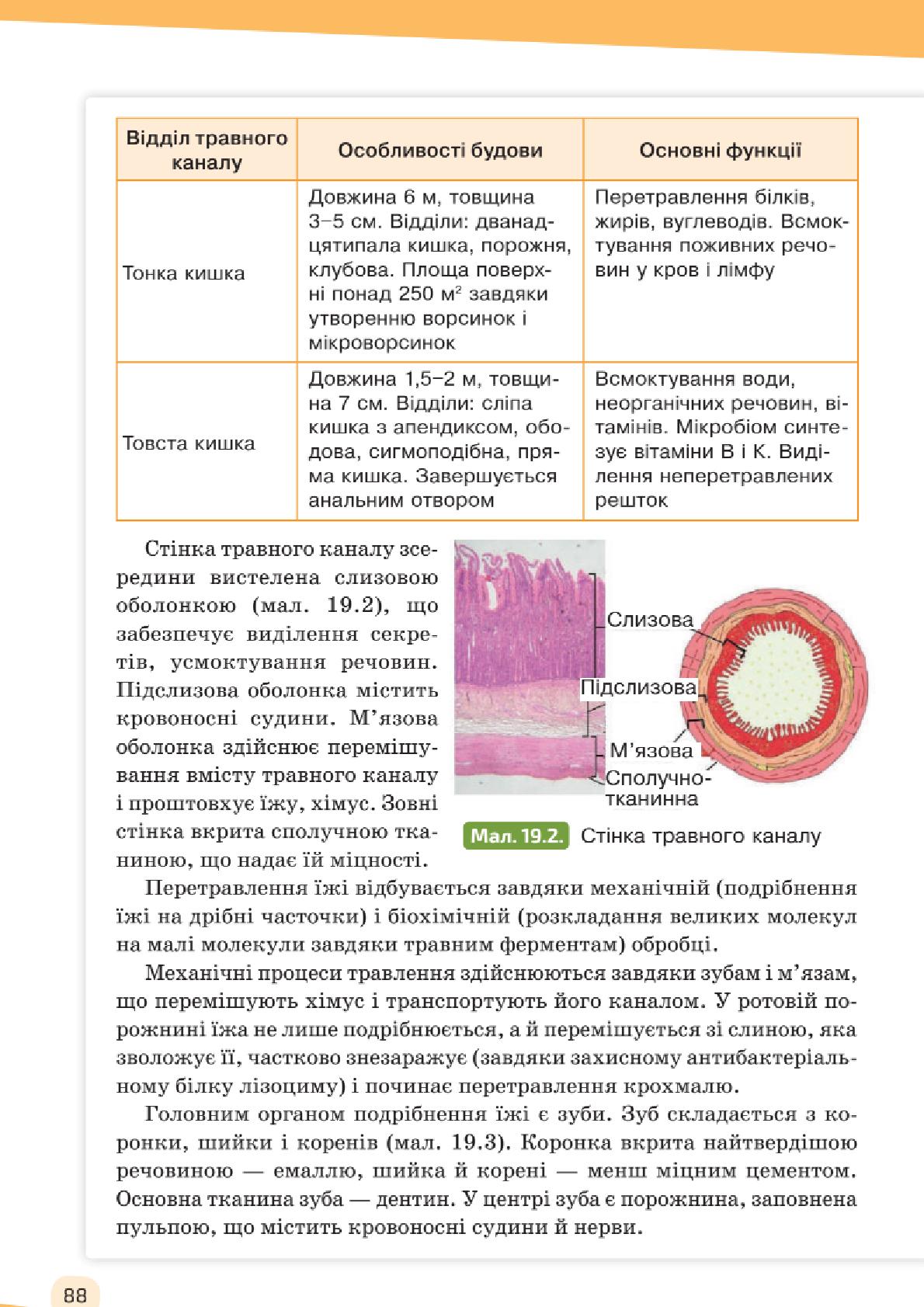 Мініатюра 88