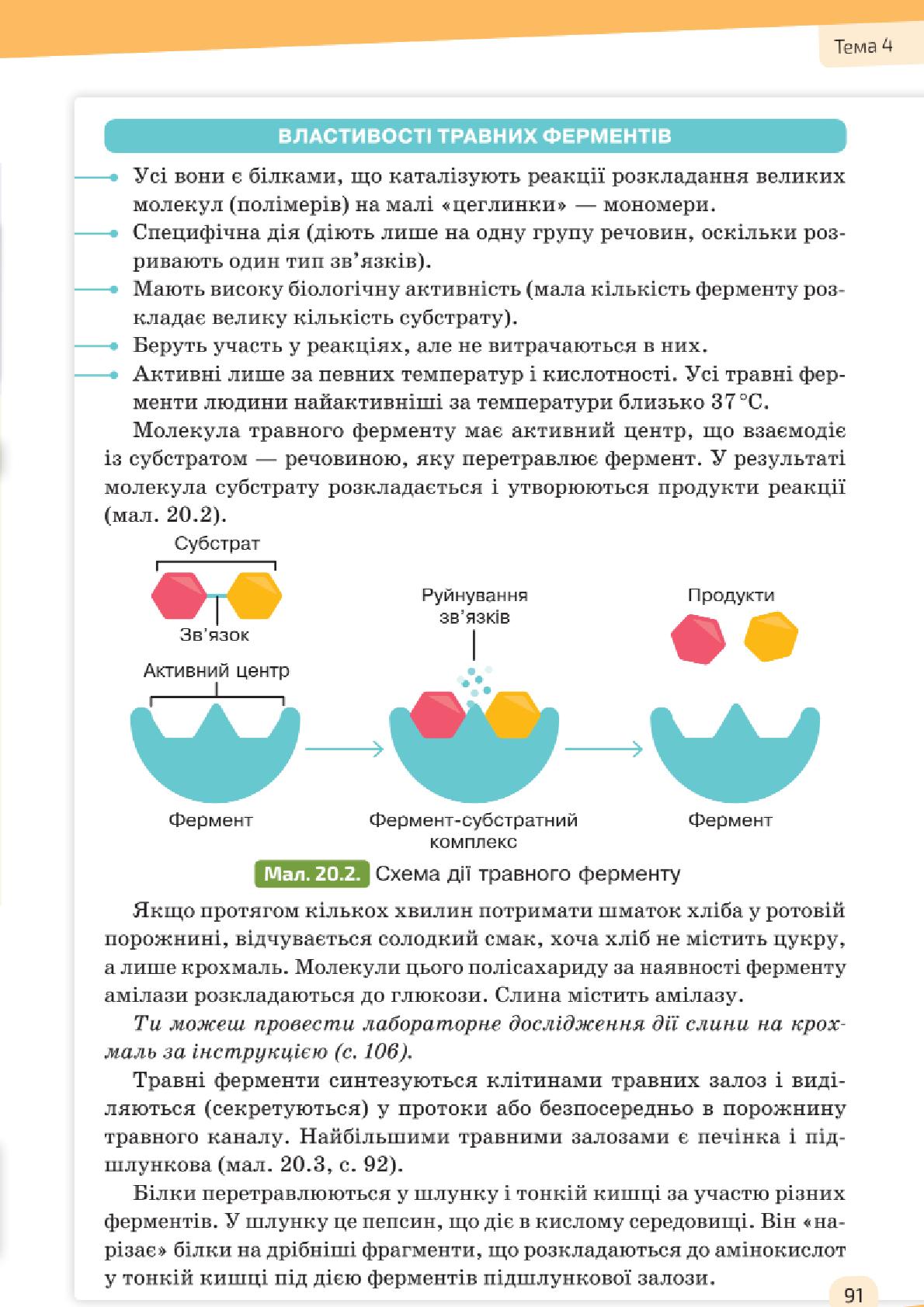 Мініатюра 91