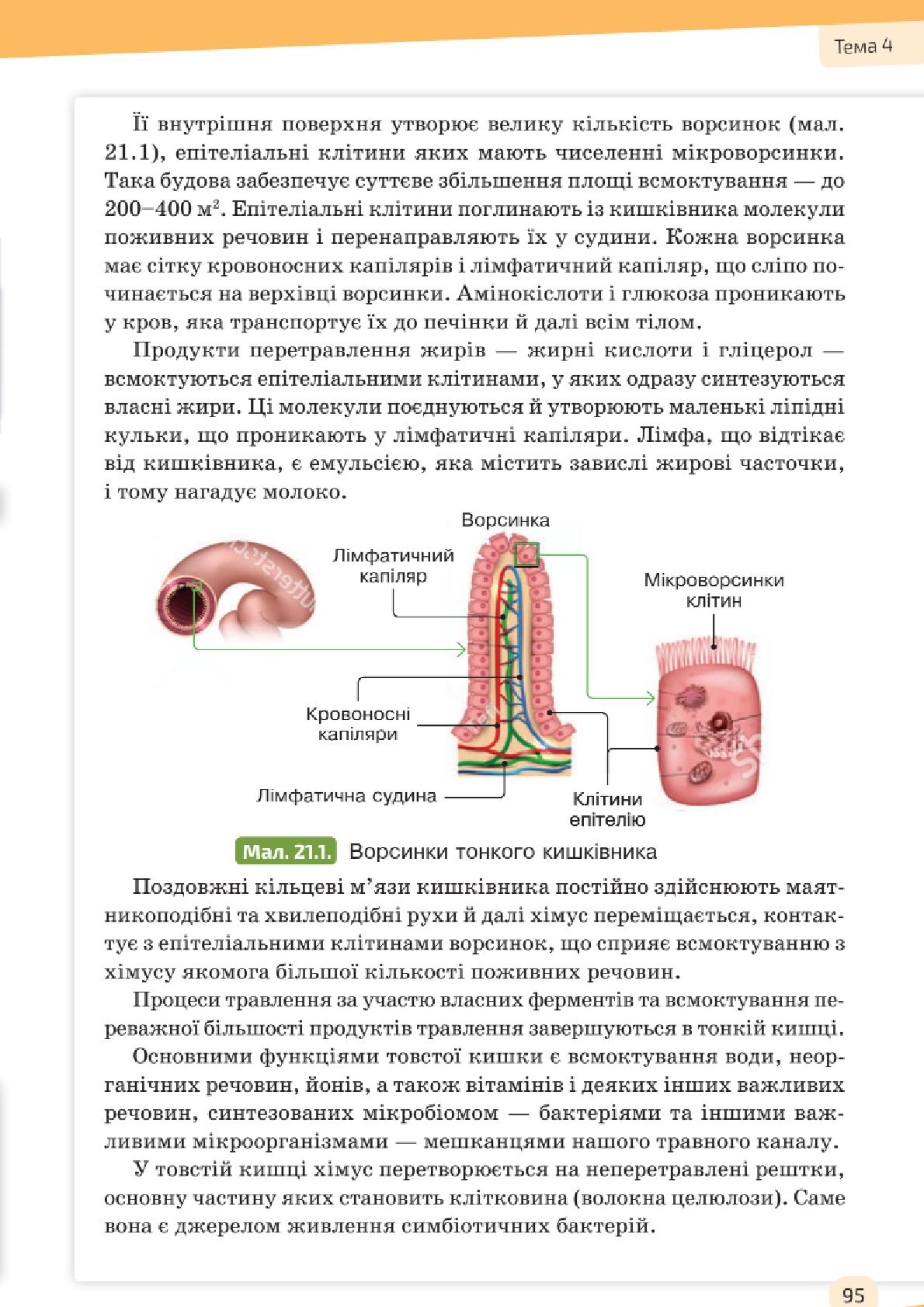 Мініатюра 95
