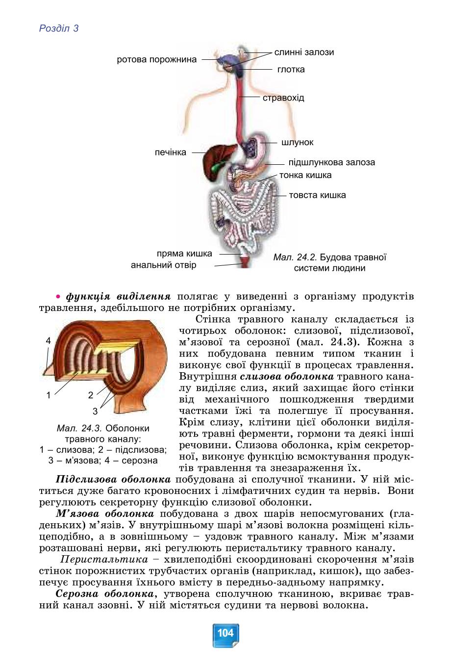 Мініатюра 104