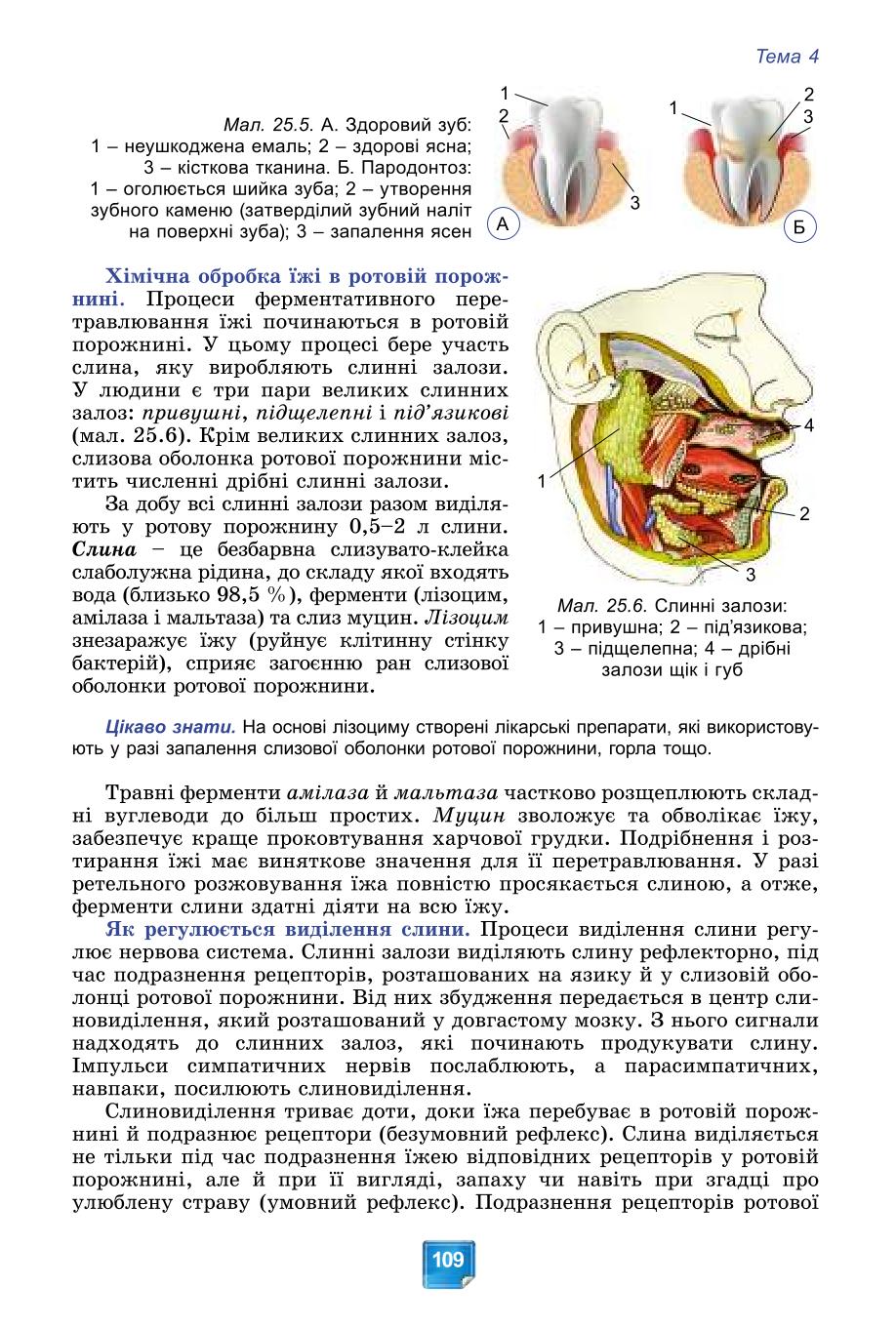 Мініатюра 109