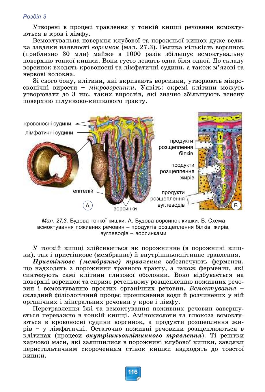Мініатюра 116