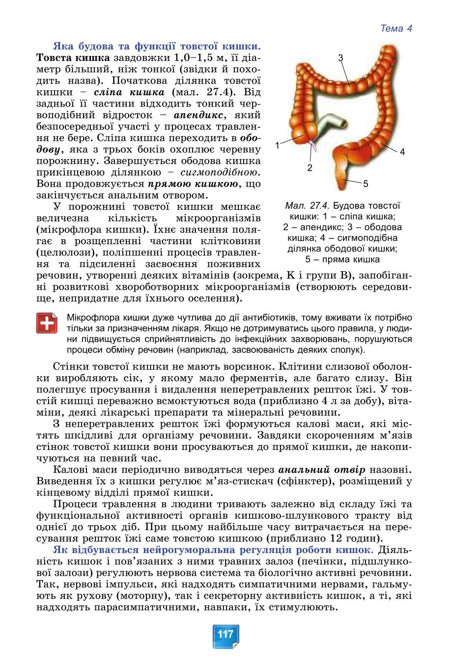 Мініатюра 117