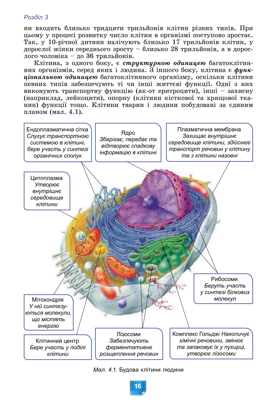 Мініатюра 16