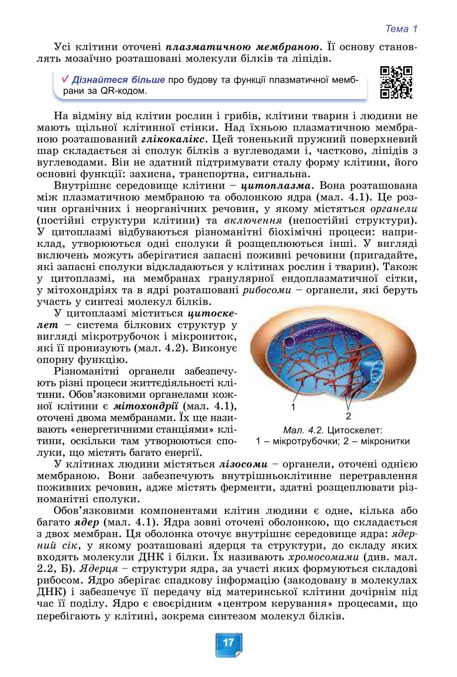 Мініатюра 17