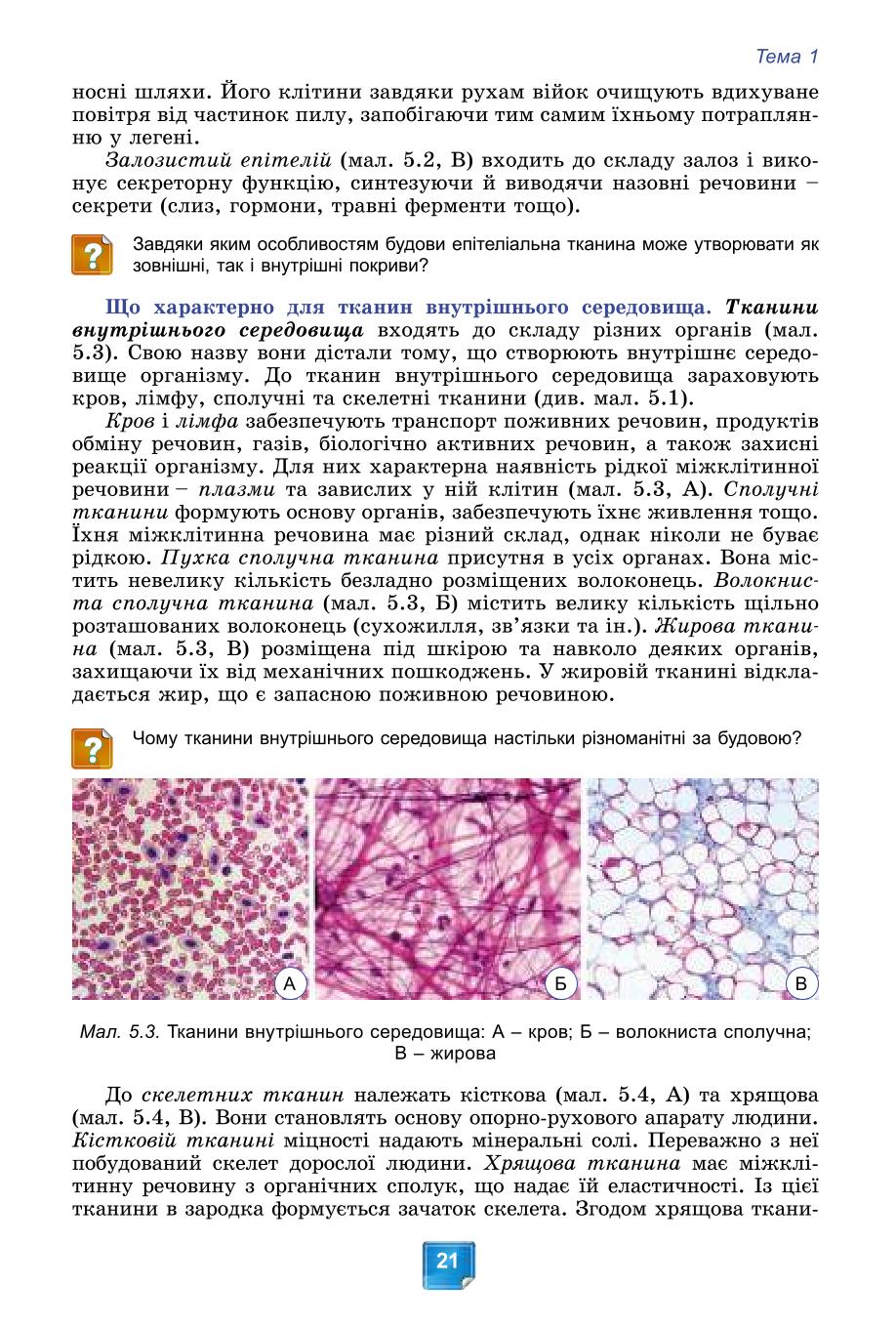 Мініатюра 21
