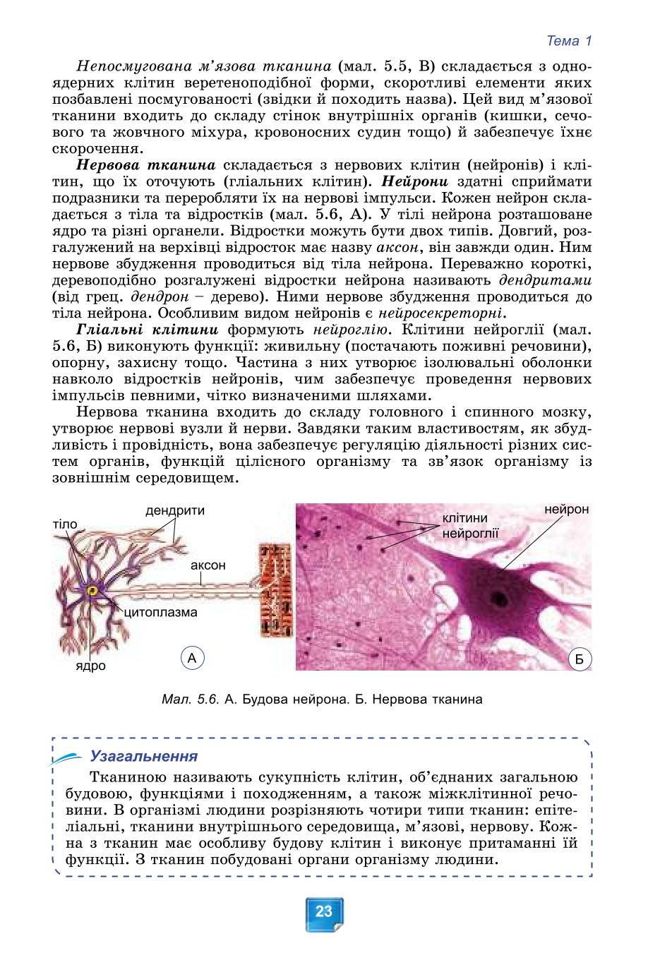 Мініатюра 23