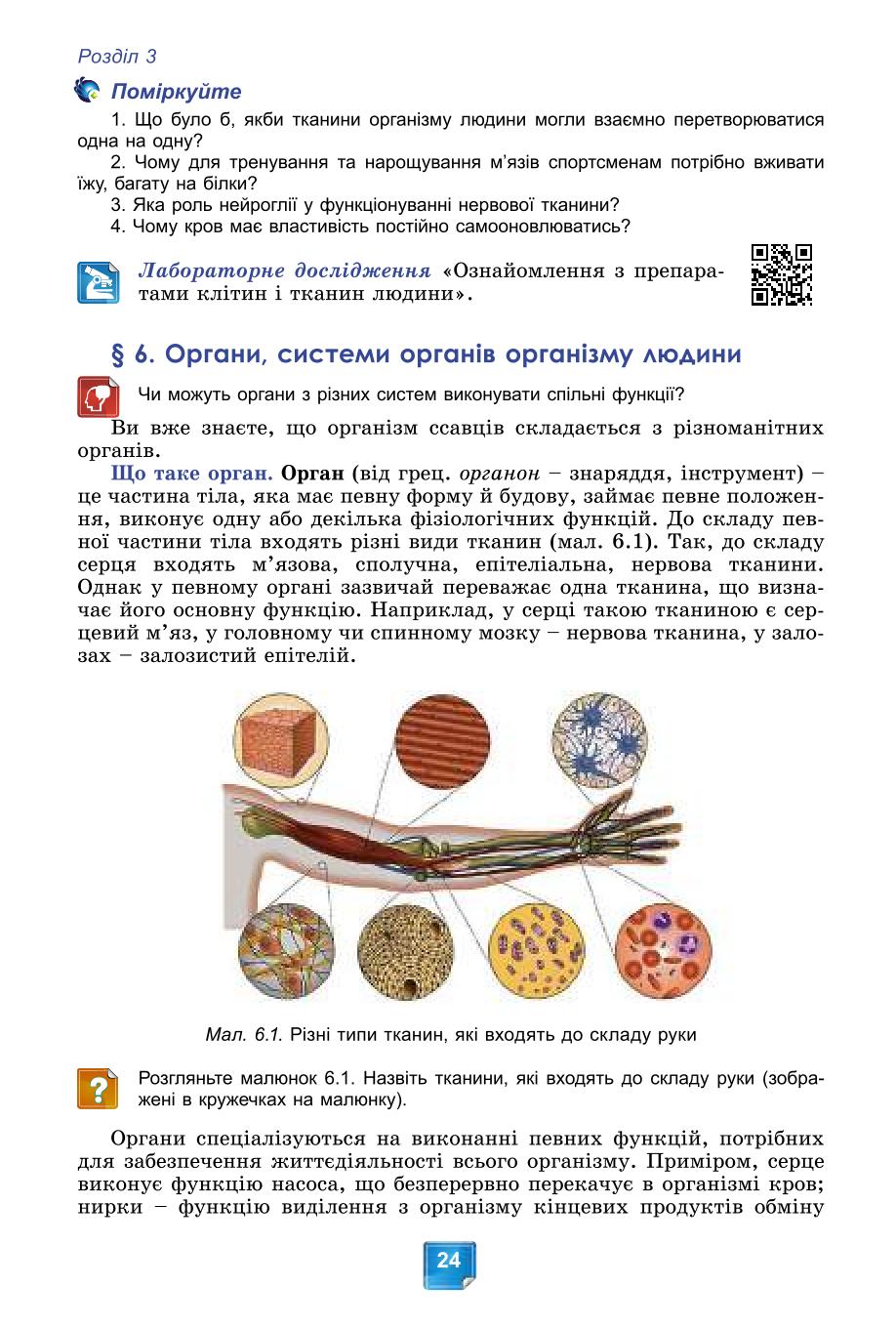 Мініатюра 24
