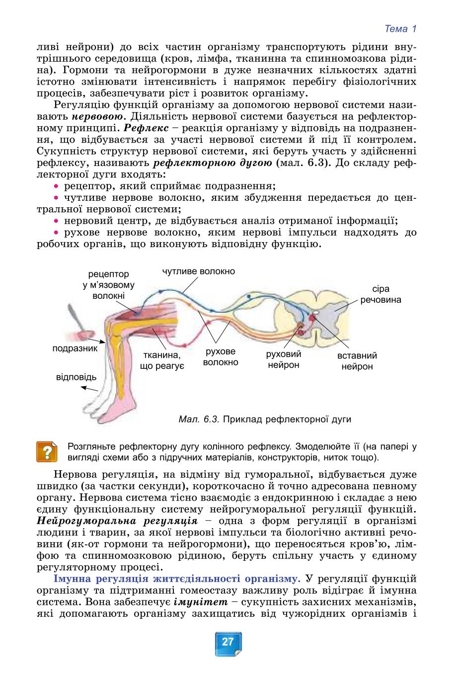 Мініатюра 27