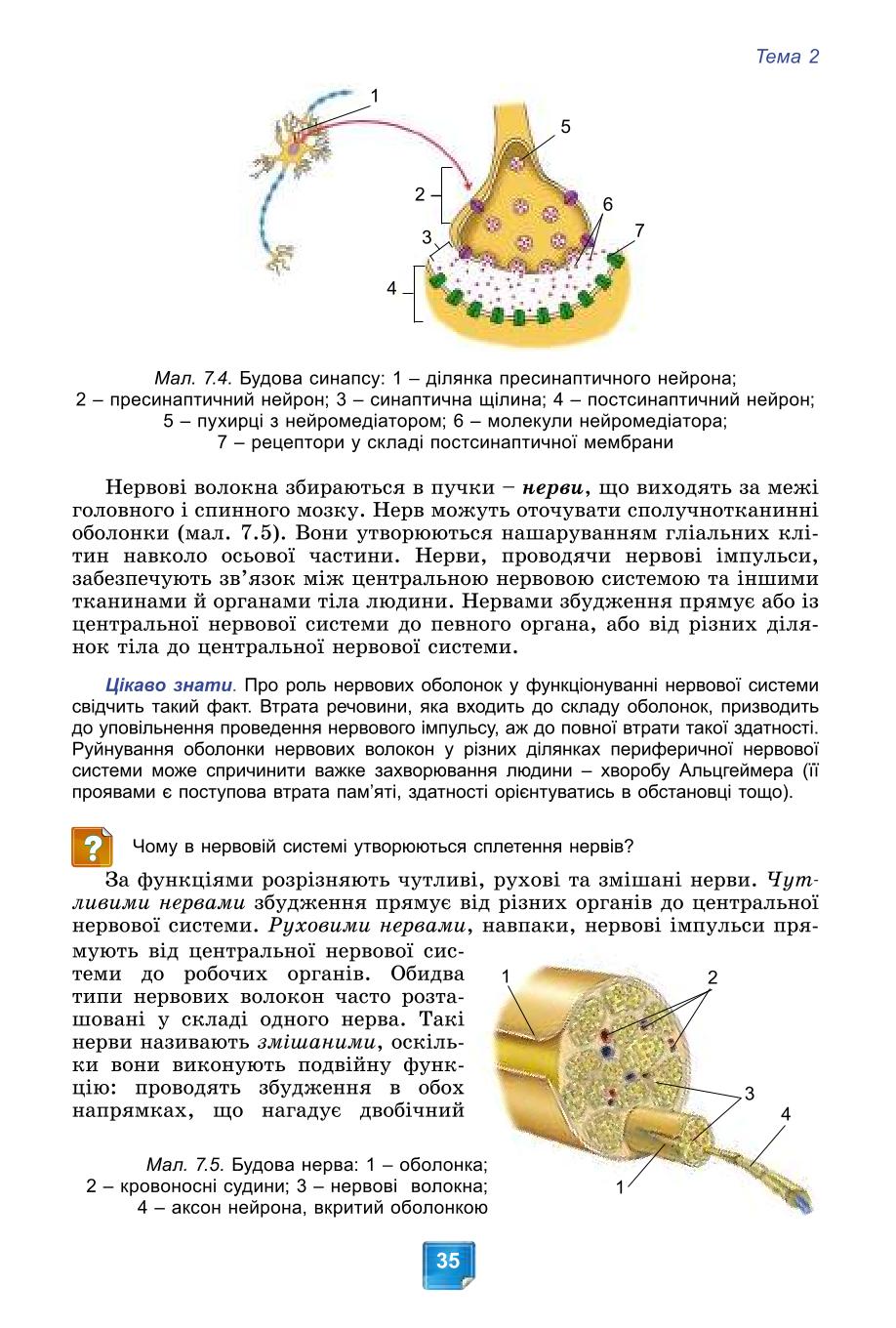 Мініатюра 35