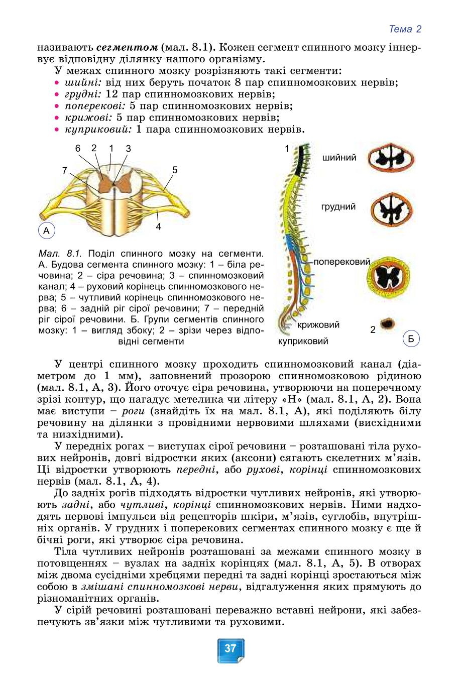 Мініатюра 37