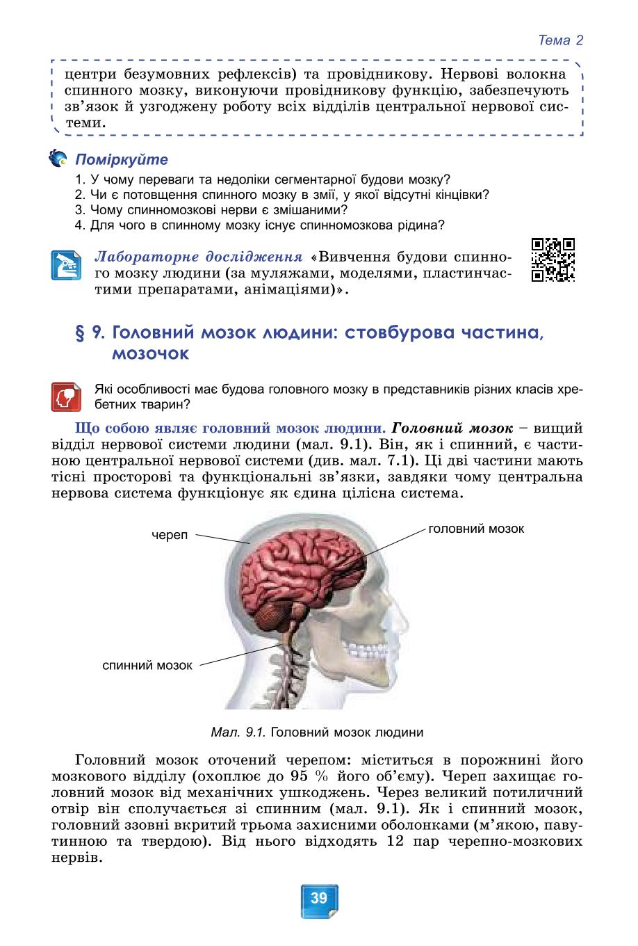 Мініатюра 39