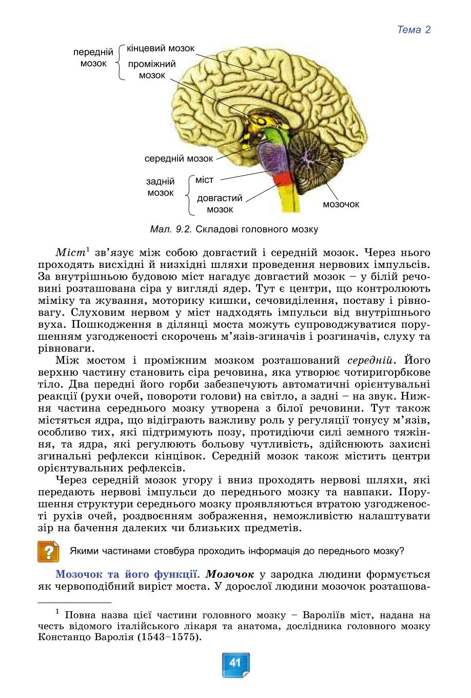 Мініатюра 41