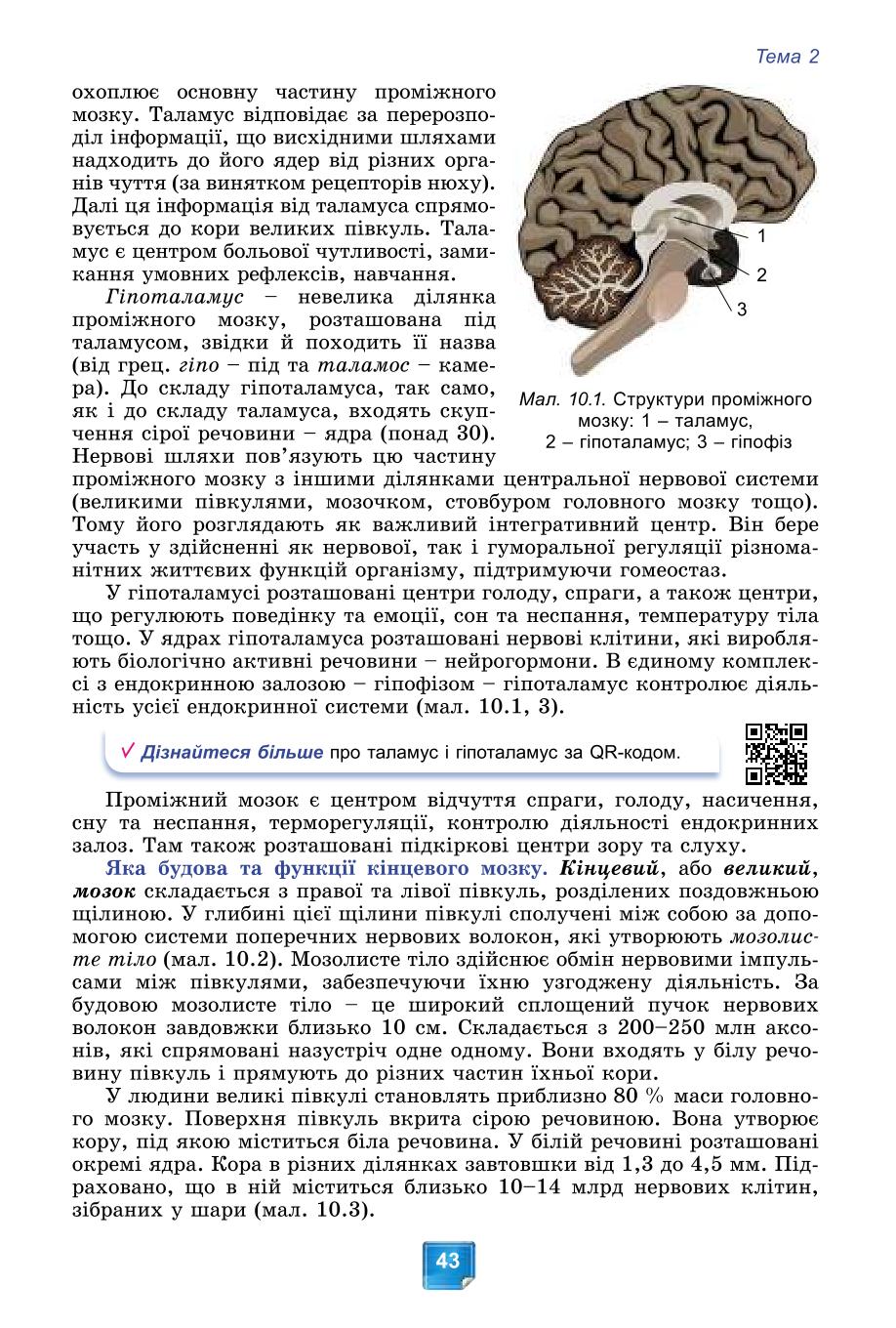 Мініатюра 43