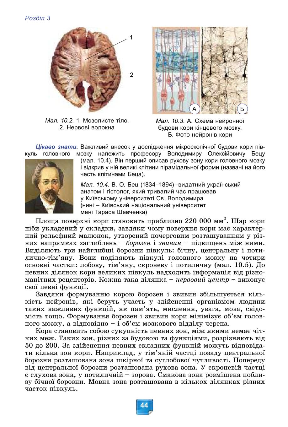 Мініатюра 44
