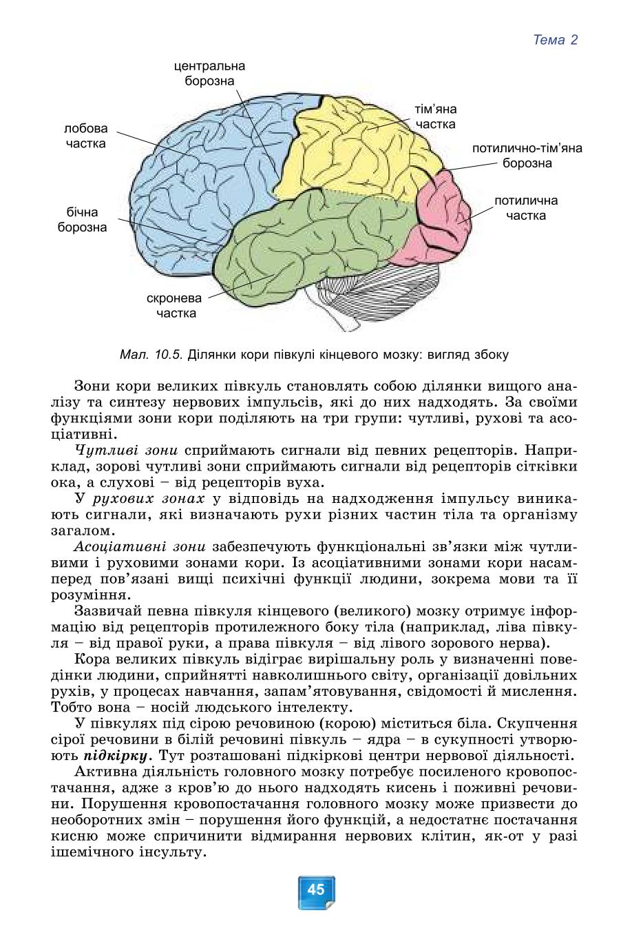 Мініатюра 45