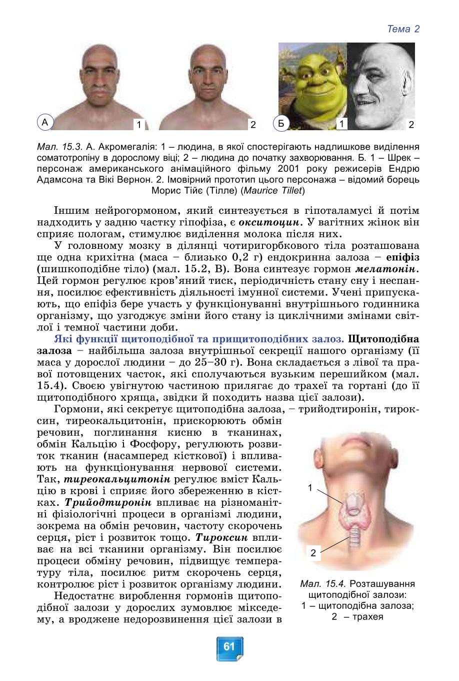 Мініатюра 61