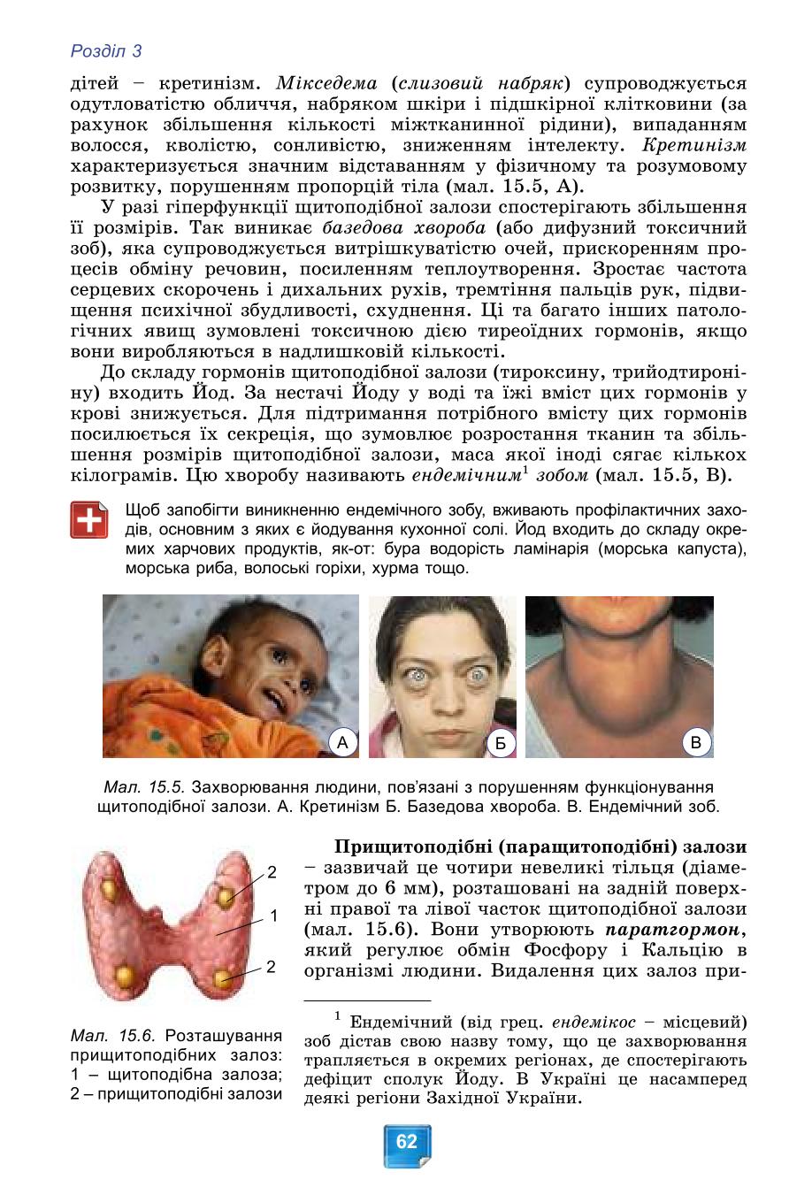 Мініатюра 62