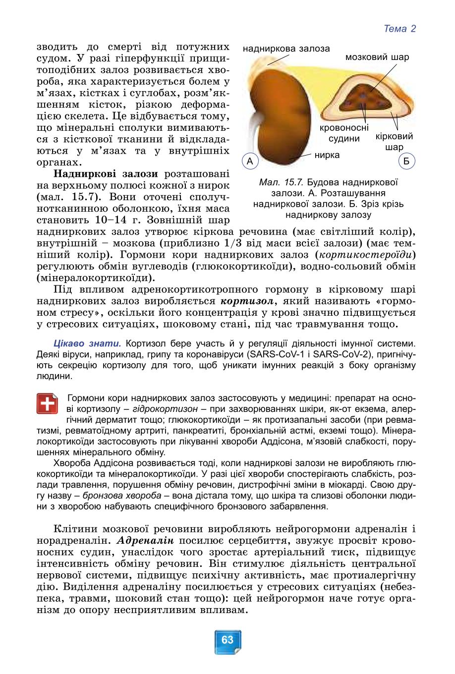 Мініатюра 63