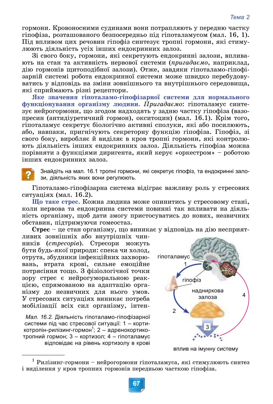 Мініатюра 67