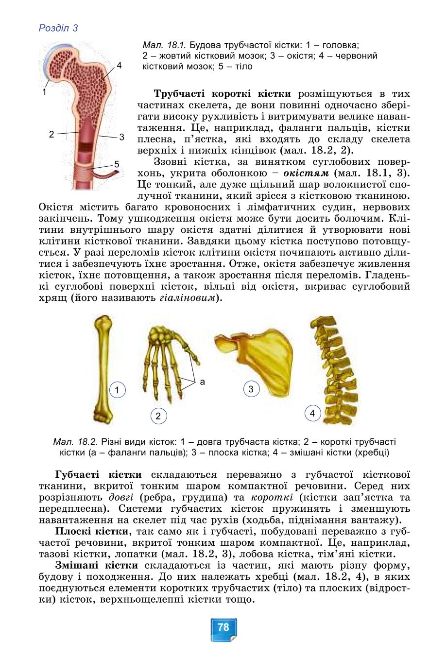 Мініатюра 78
