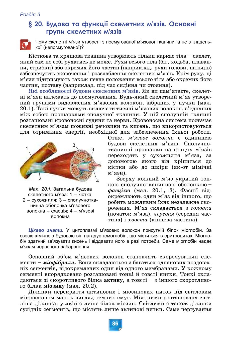 Мініатюра 86