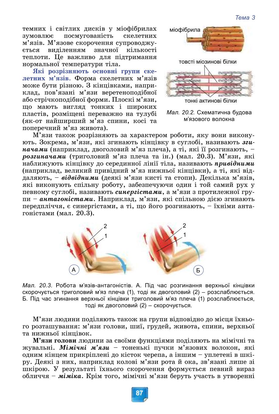 Мініатюра 87