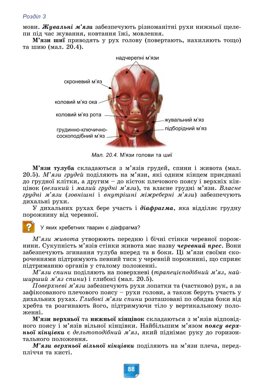 Мініатюра 88