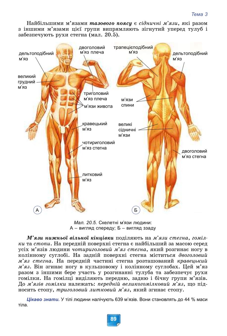Мініатюра 89