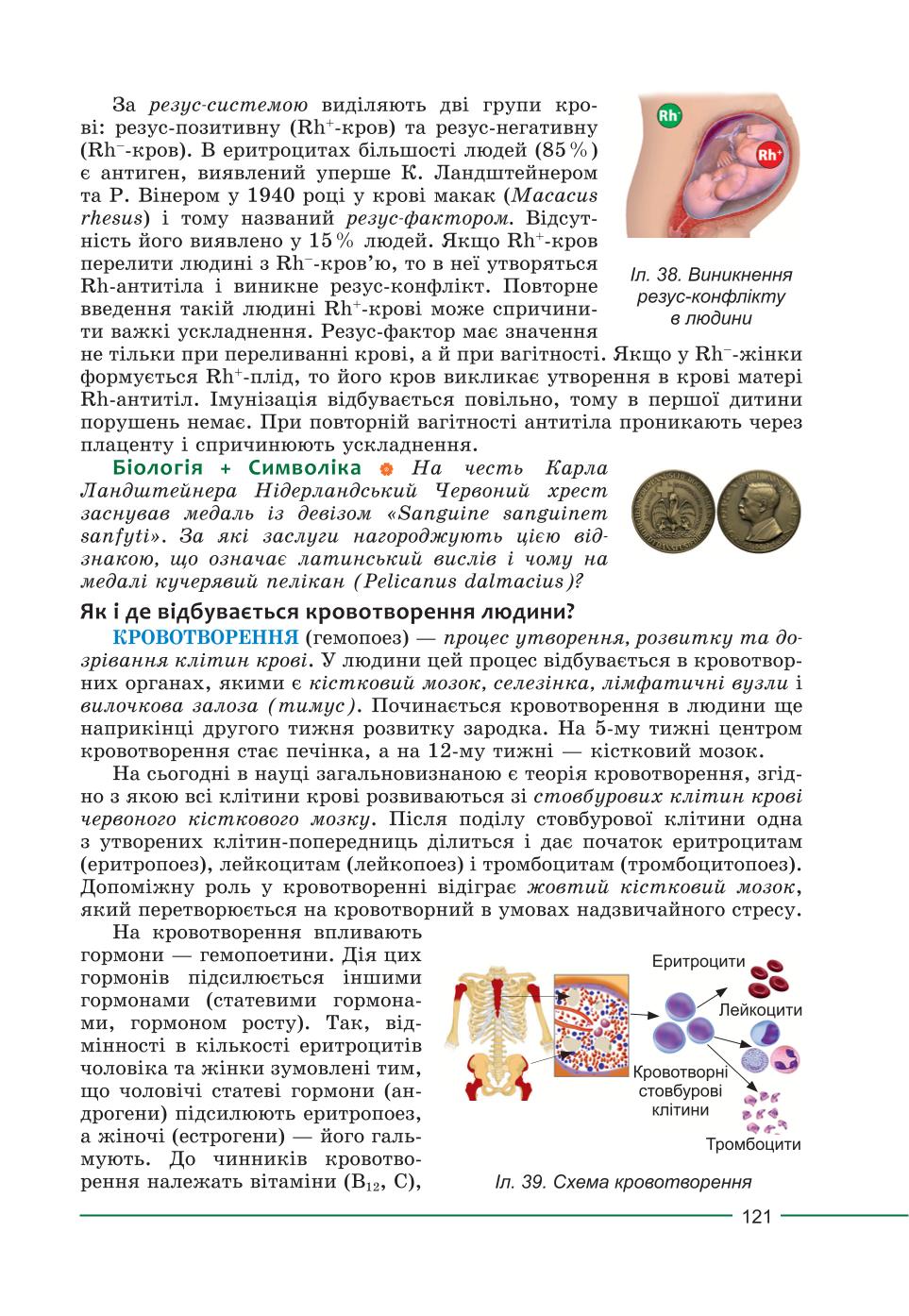 Мініатюра 121