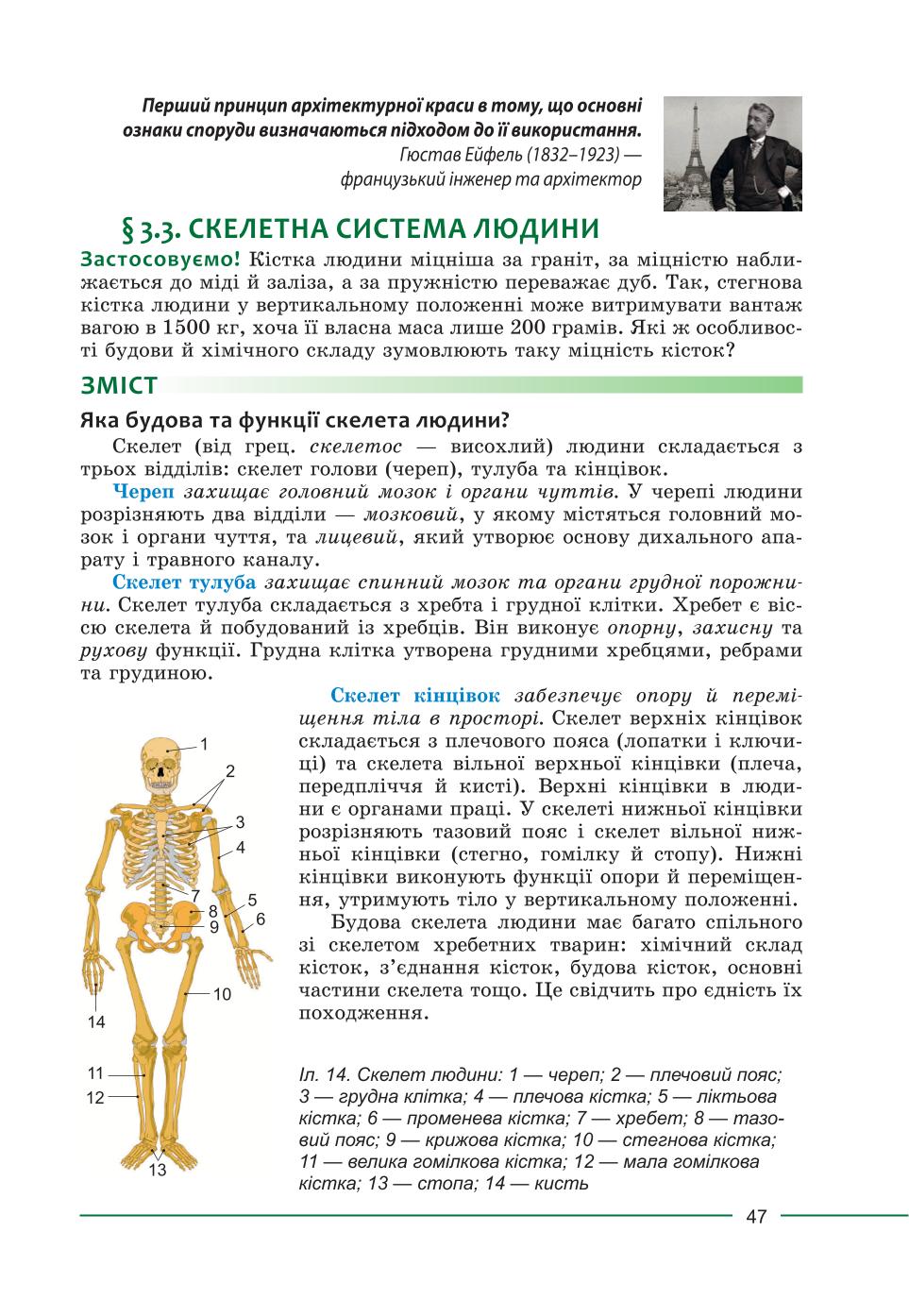 Мініатюра 47