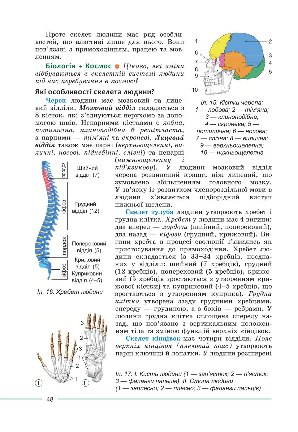Мініатюра 48