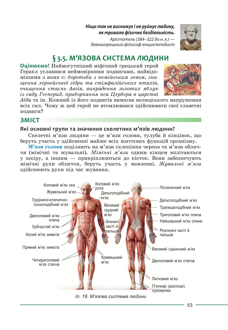 Мініатюра 53