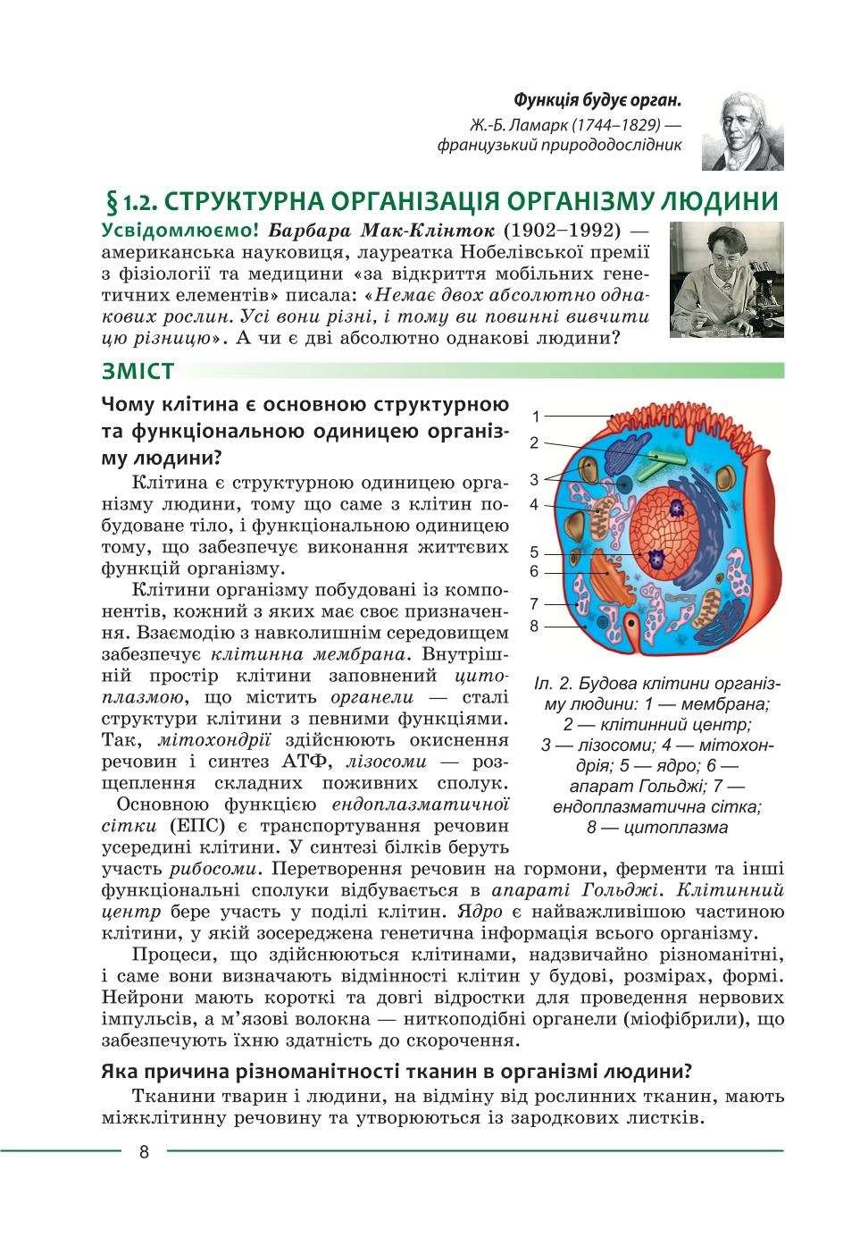 Мініатюра 8