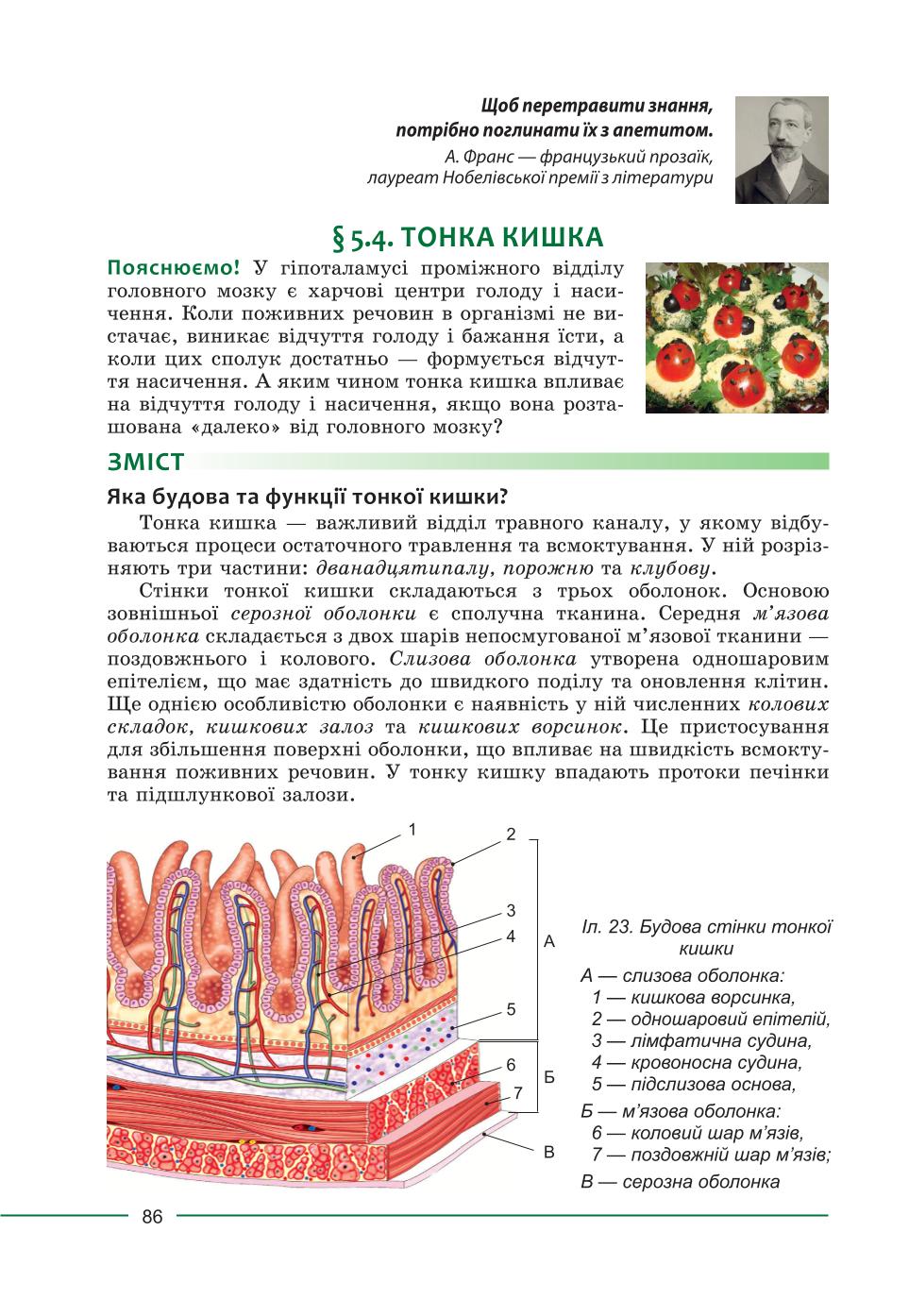 Мініатюра 86
