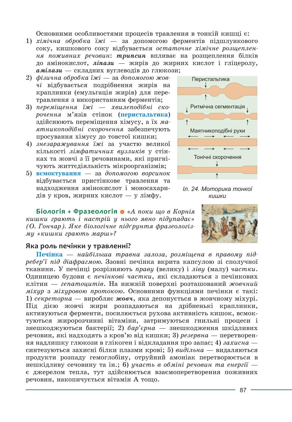 Мініатюра 87