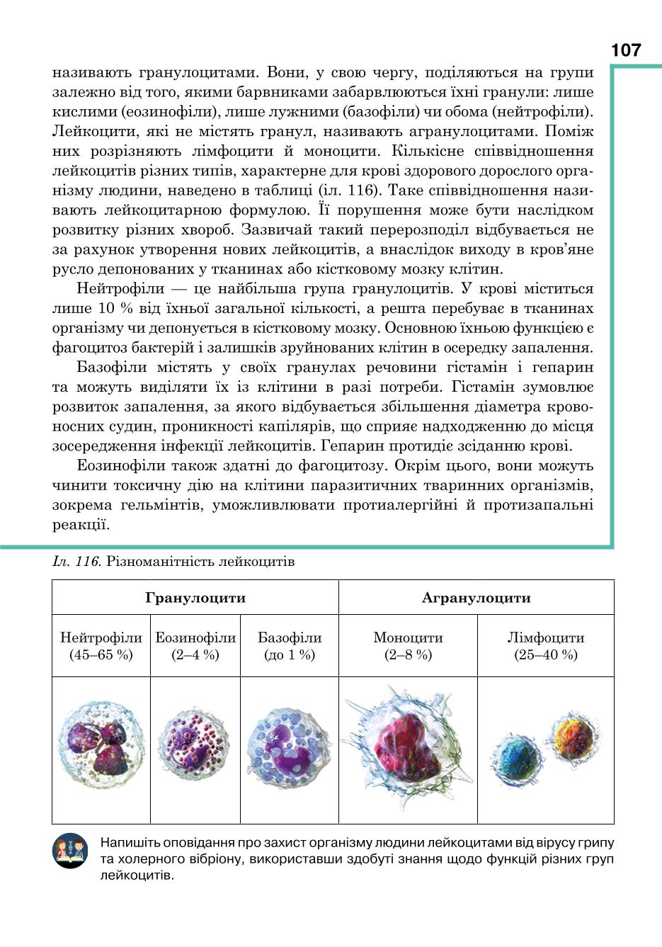 Мініатюра 107